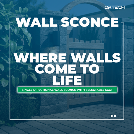 Where Walls Come to Life