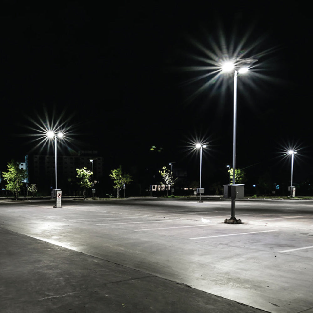 SB300-3CCT+W