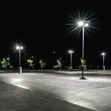 SB300-3CCT+W